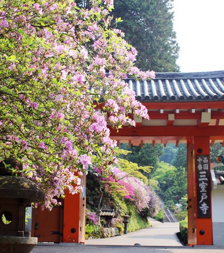 三室戸寺